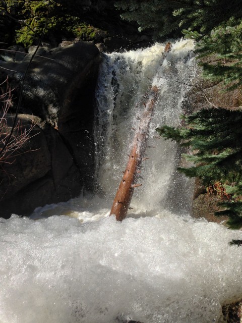 Waterfall along Forsythe Creek