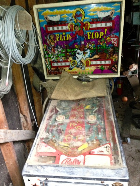 Pinball machine in shed, NE Oklahoma.  It's ruined inside and out.