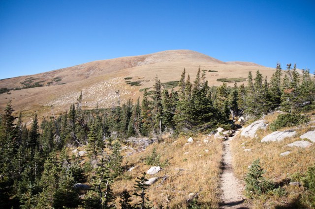 The trail to Caribou Mountain where it emerges from the trees.