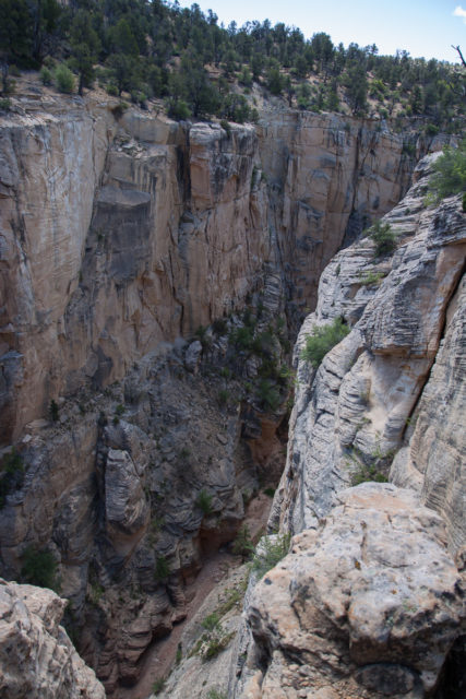 Looking down into the slot canyon of Bull Valley Gorge.
